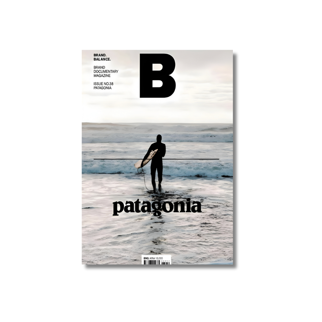 PATAGONIA surfer - Poster