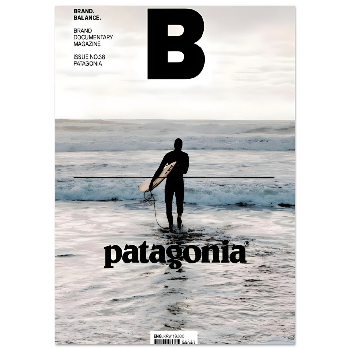 PATAGONIA surfer - Poster