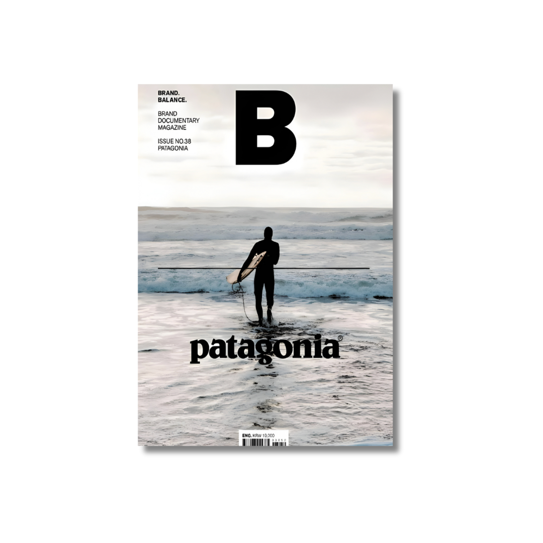 PATAGONIA surfer -  Poster