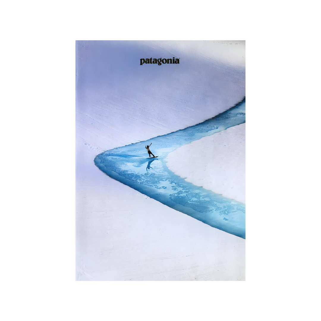 Patagonia 2017 Poster Limitless Together