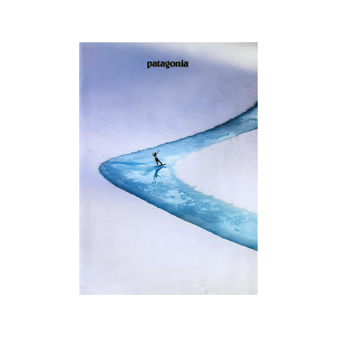 Patagonia | 2017 - Poster