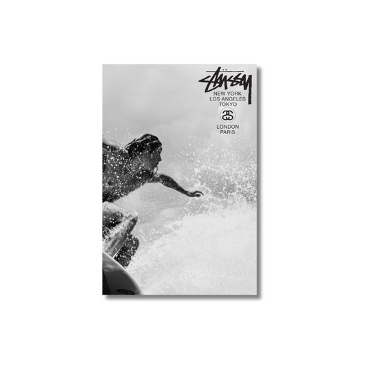 STUSSY In the Waves- Premium Matte Paper Poster
