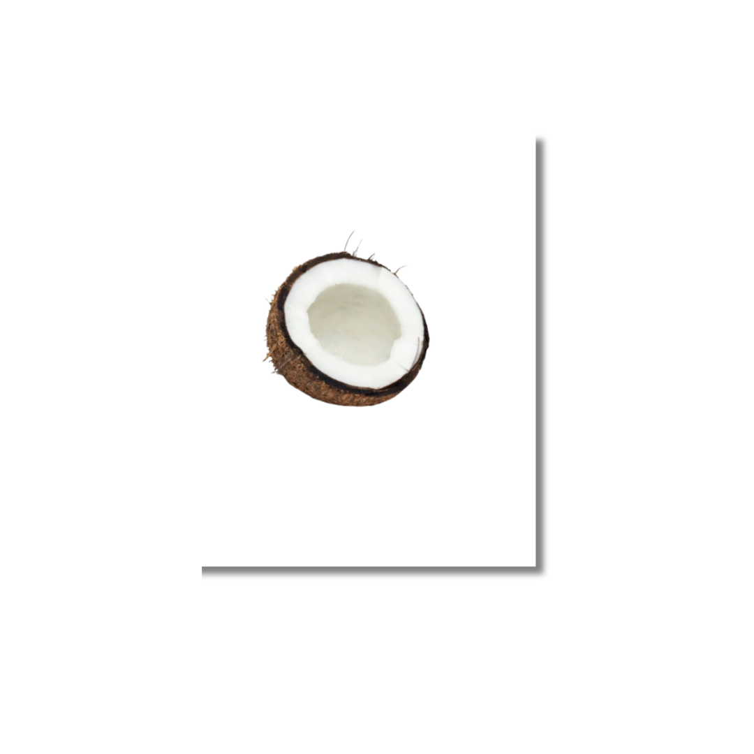 Coconut - Poster