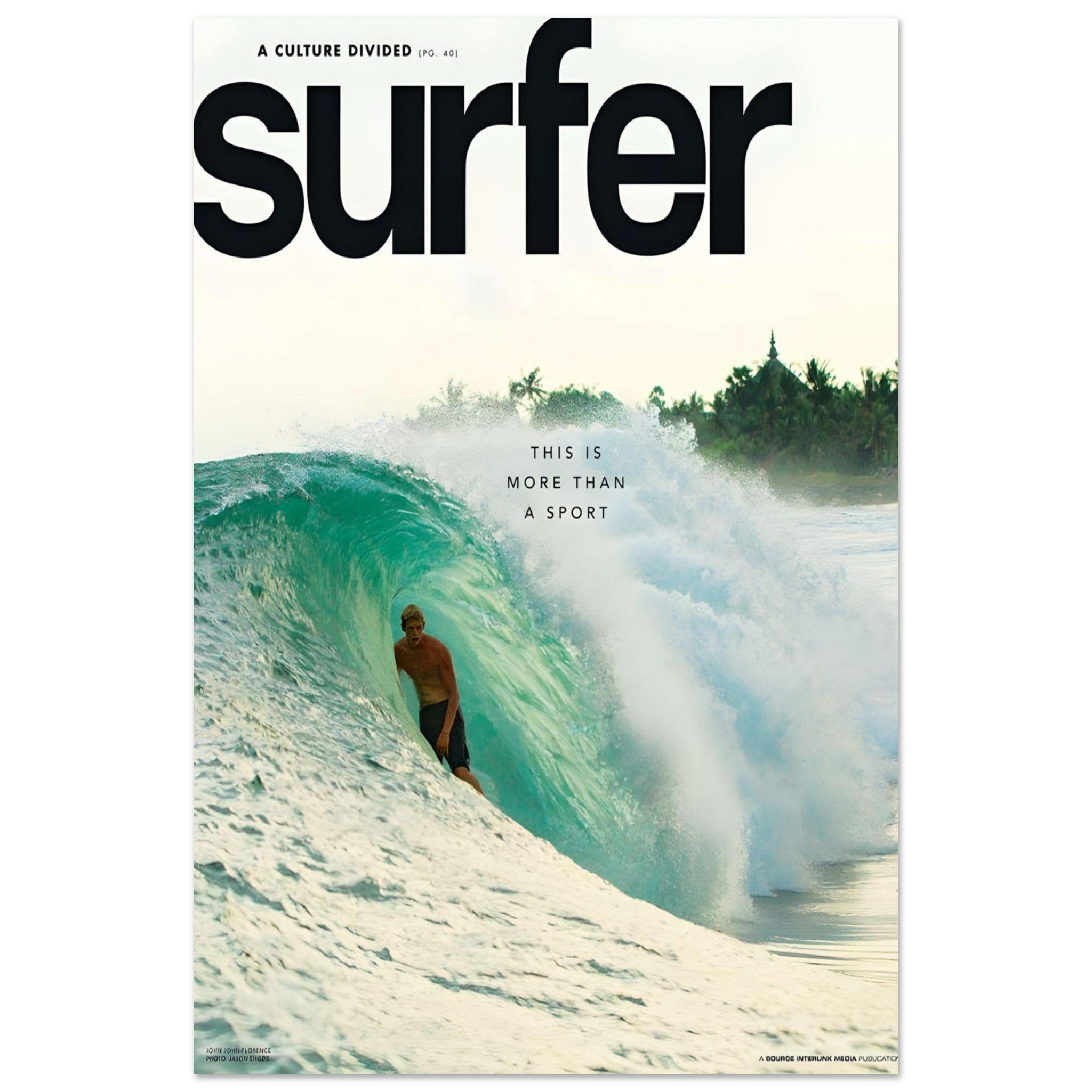 Surfer November 2013 cover - poster