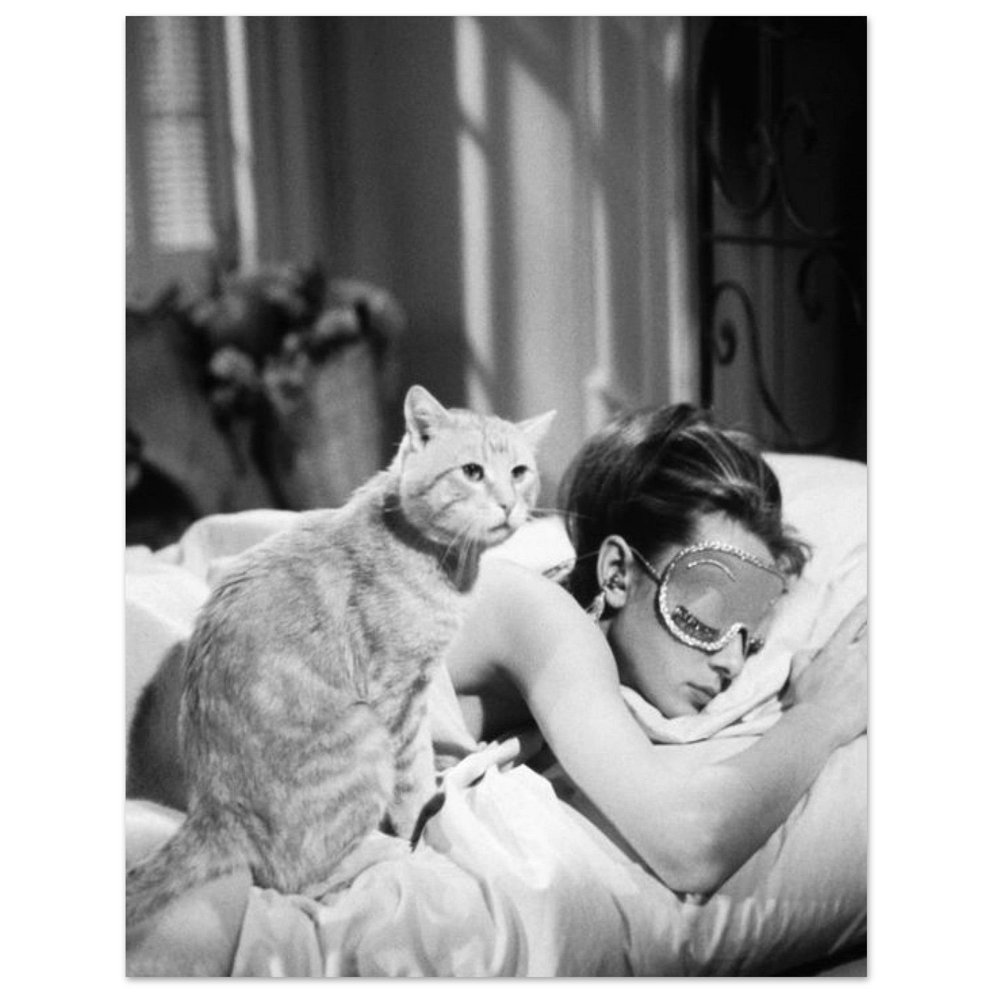 35ff8da8-848c-48c5-bff7-ff1726d3db21