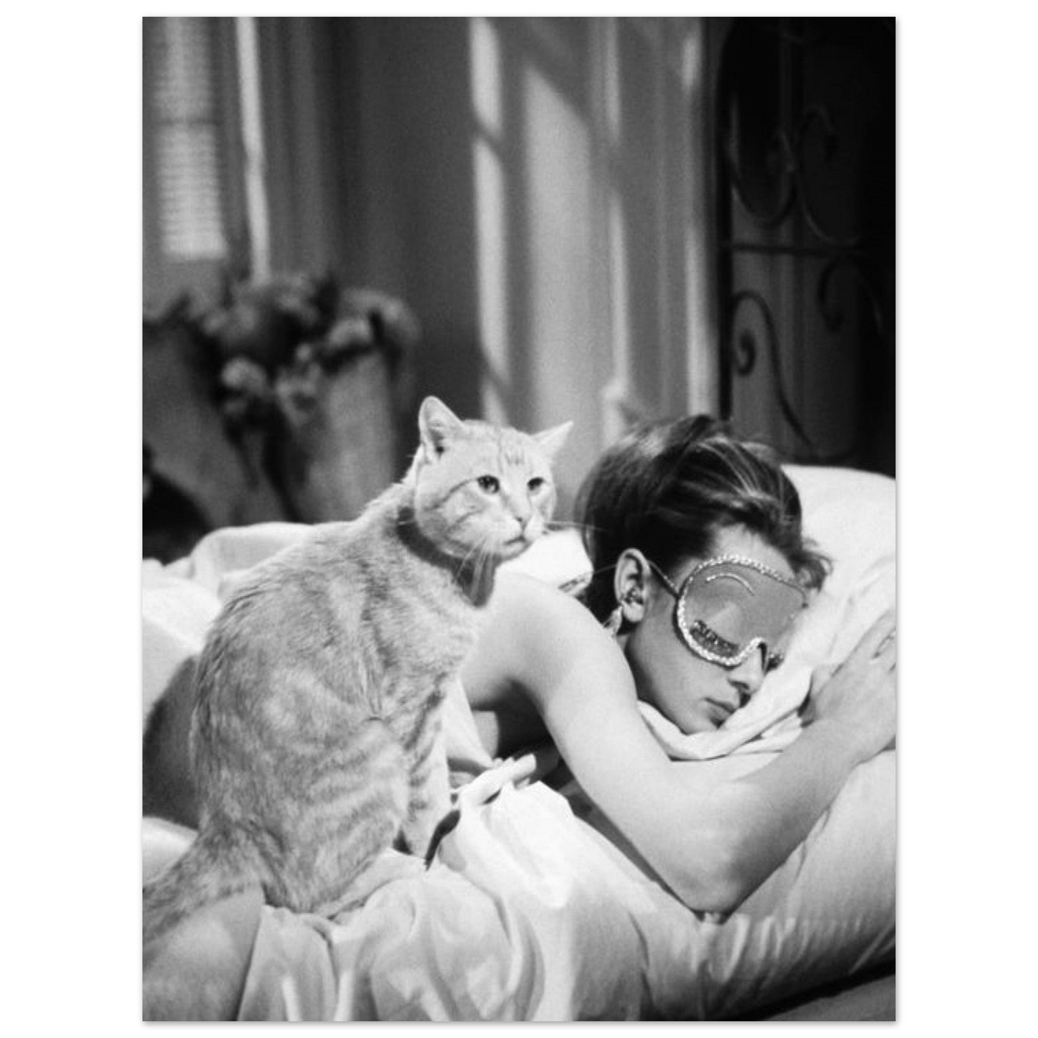 3c3c39c2-26e1-48a8-bf95-fbf36319ce66