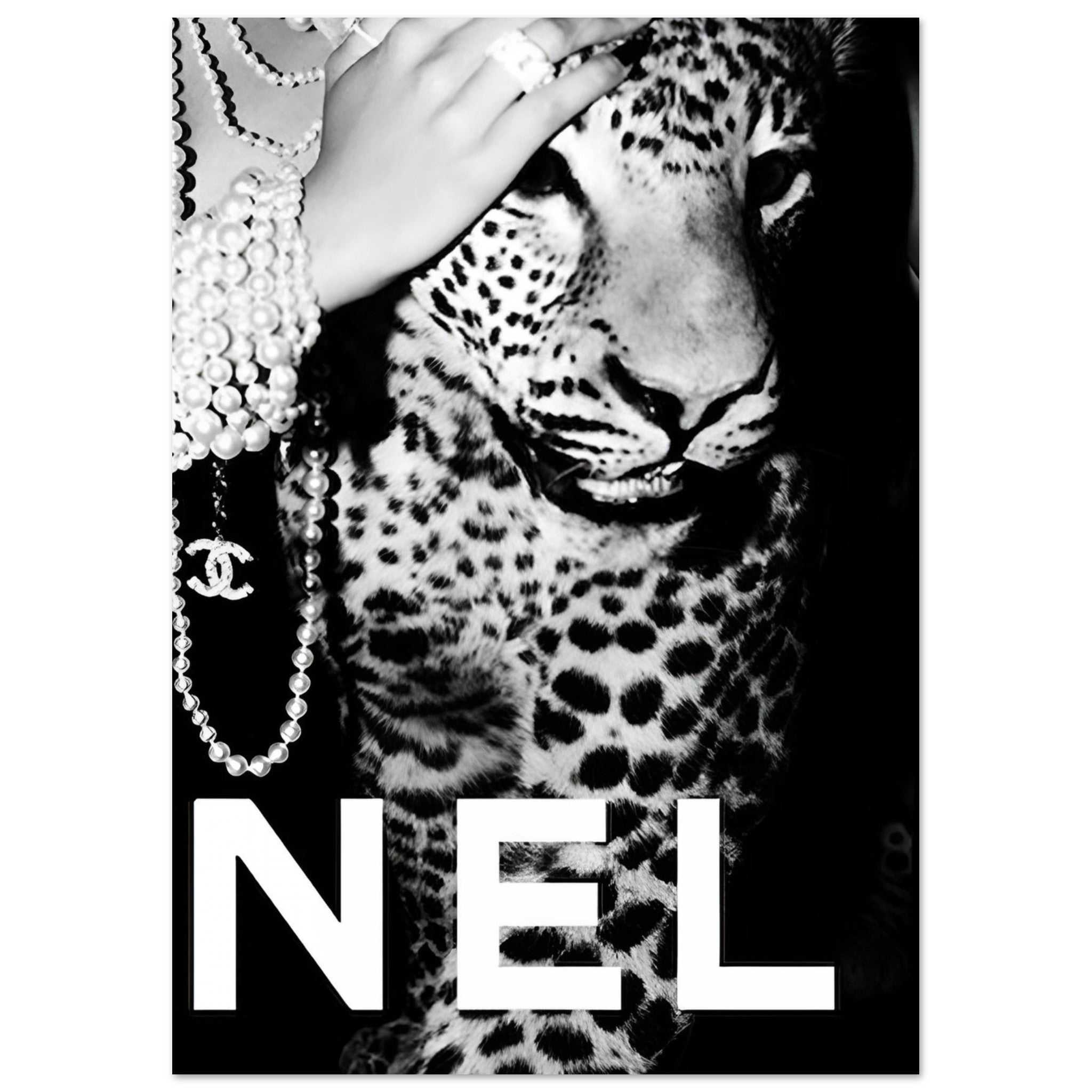 4bd1bff5-3cbc-4d46-bef8-b706ab699911