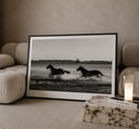 Wild Horses Poster