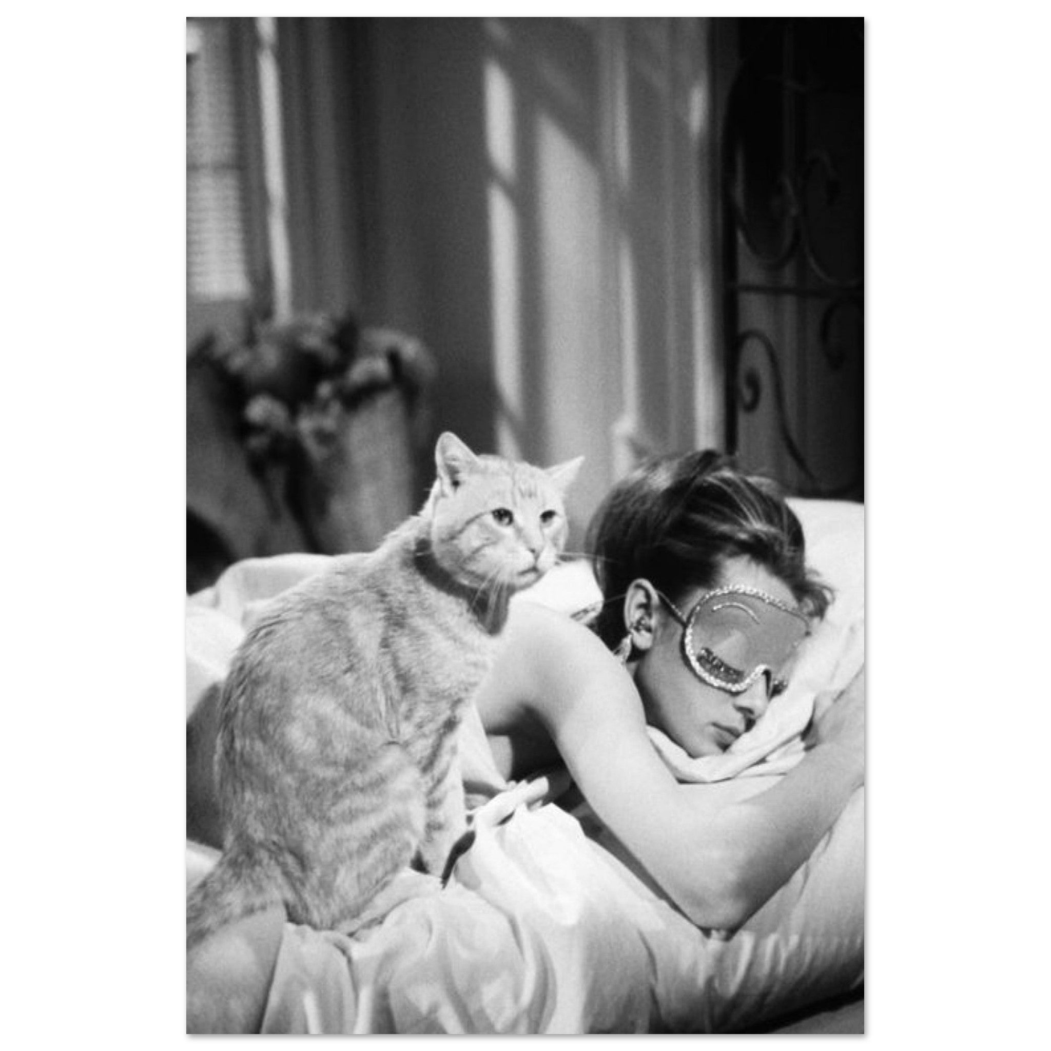 50328d90-1e7a-4f29-b1f5-99ee701af778