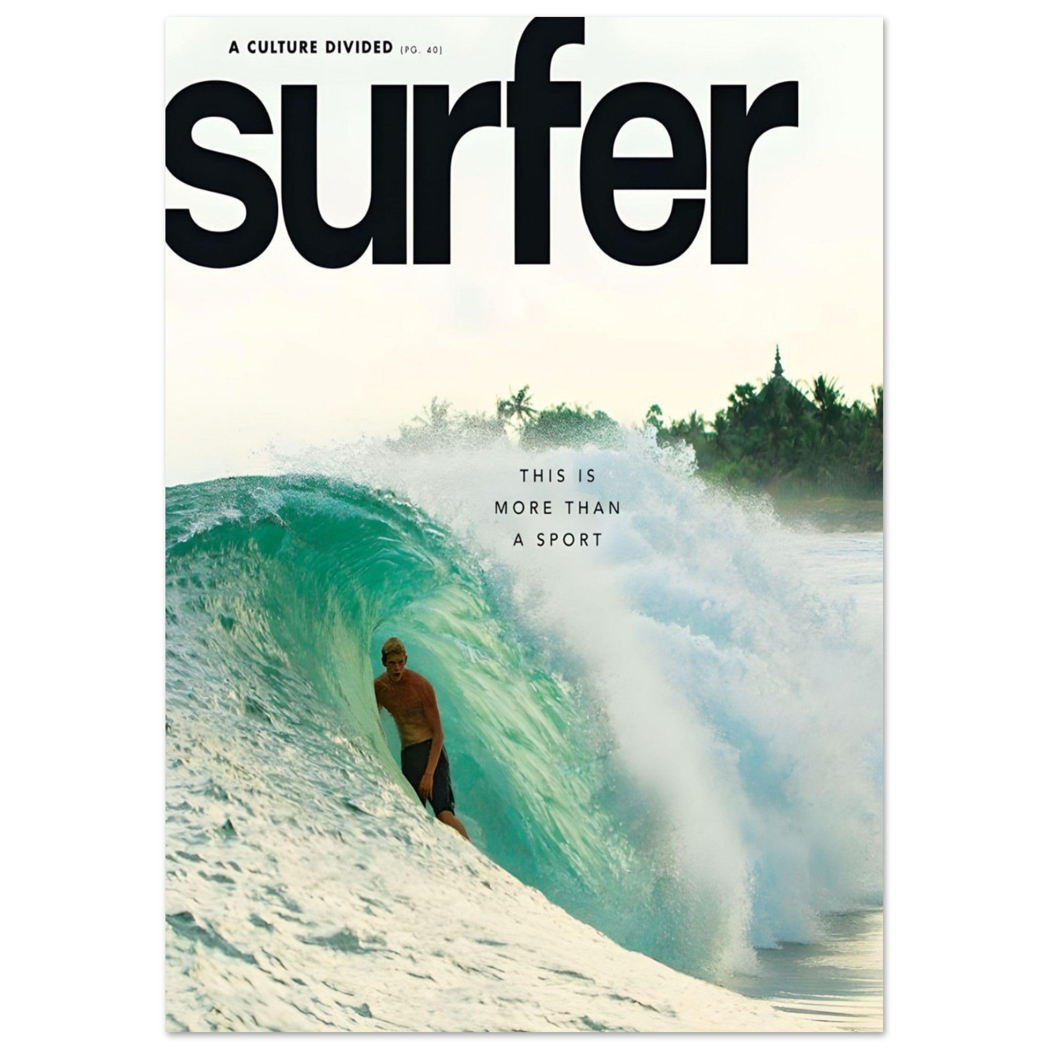 Surfer November 2013 cover - poster
