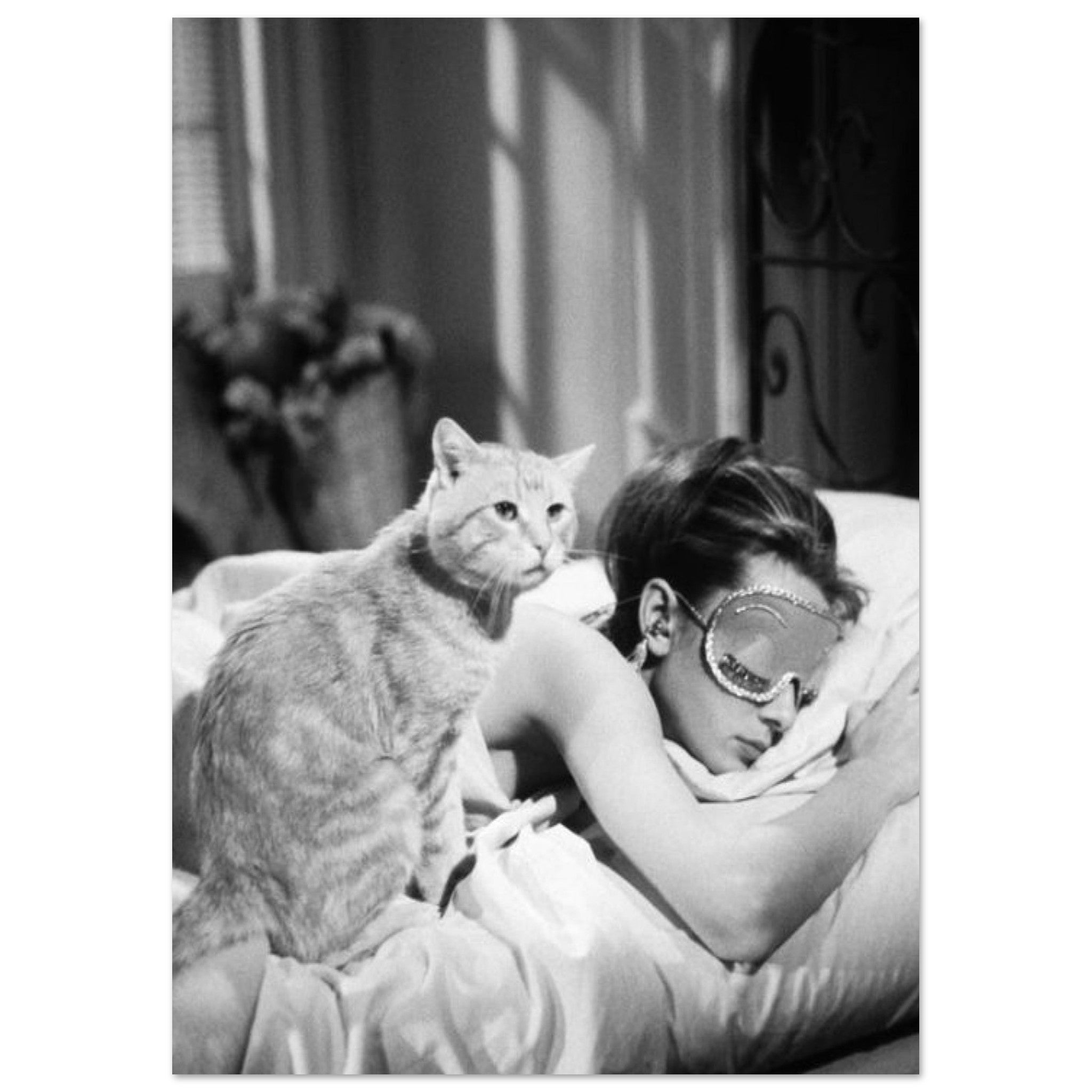 8a5f2c39-50ae-41e4-85df-8871de0aeafd