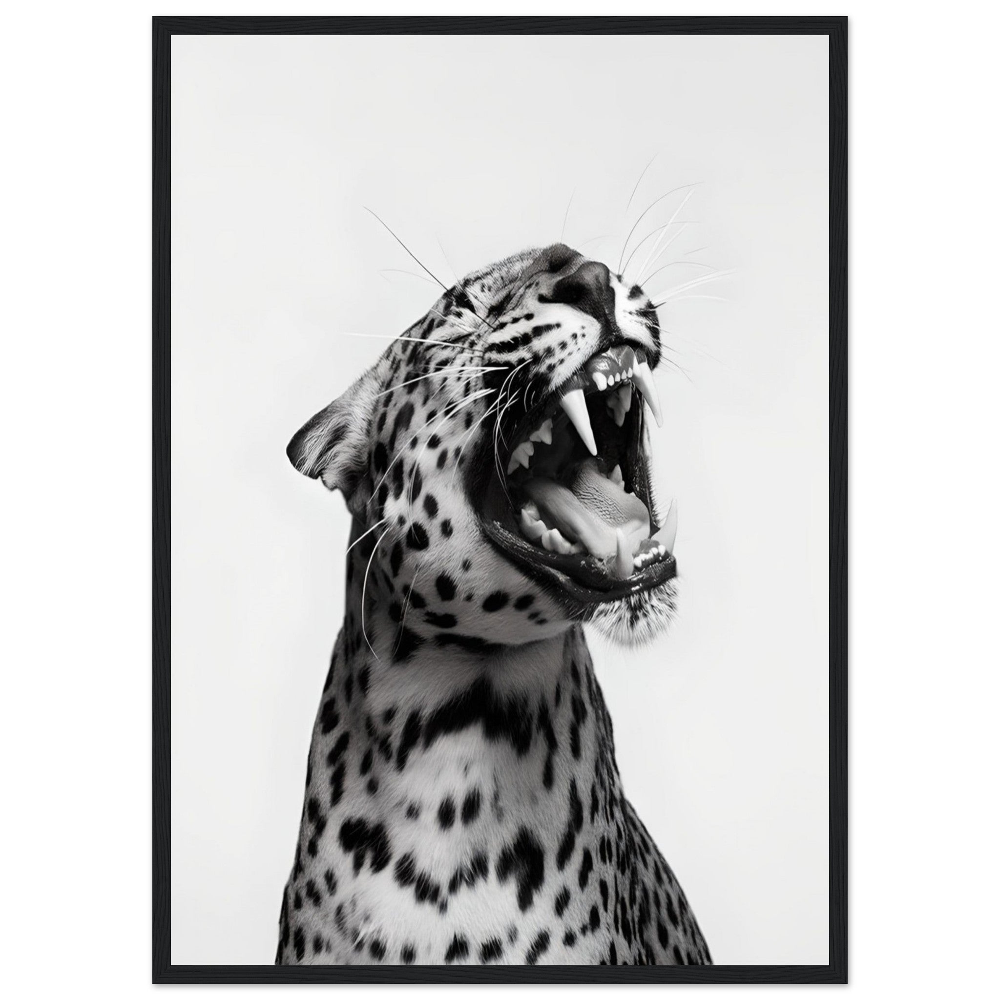 941bcfe6-507d-4daf-b546-872b794de40c