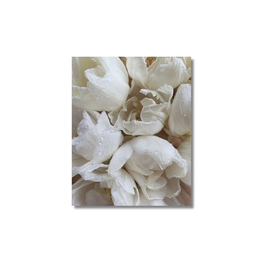 White flowers - Poster