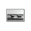Wild Horses Poster