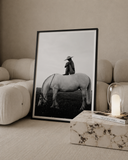 White Horse Poster