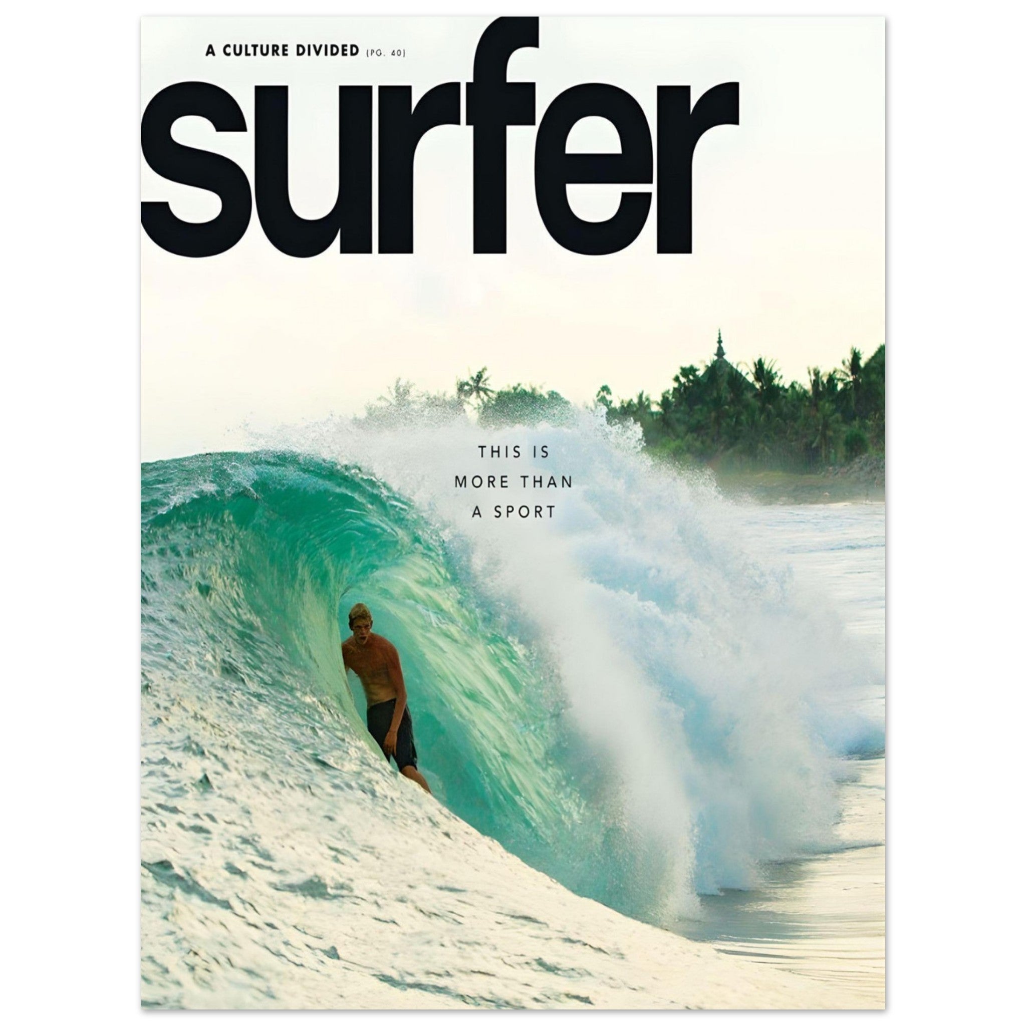 Surfer November 2013 cover - poster