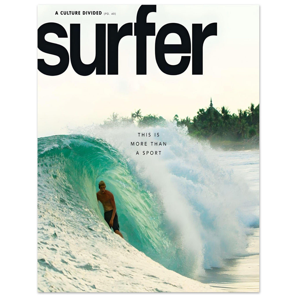 Surfer November 2013 cover - poster