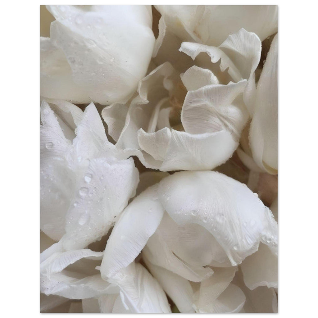 White flowers - Poster