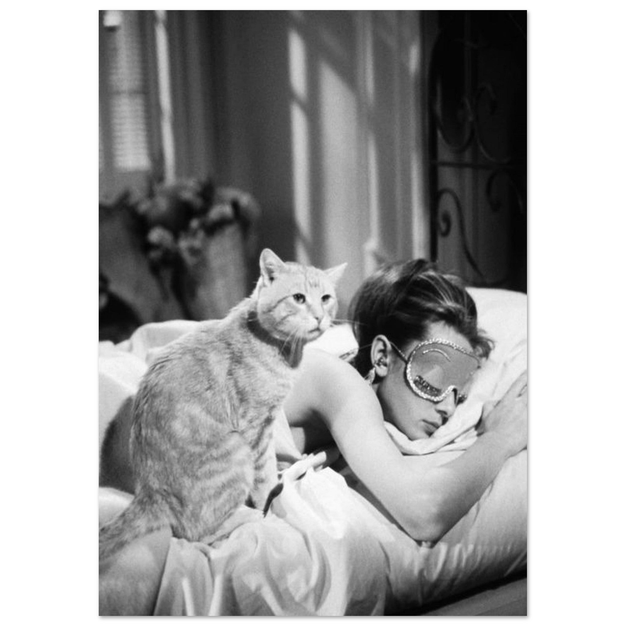 fc2892f2-f1ec-4767-a877-fa104807d54a