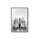 Coastal Boards Poster